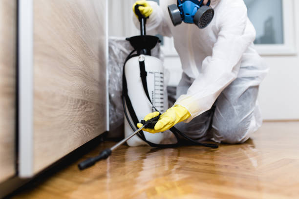 Pest Control Cost in East Point, GA