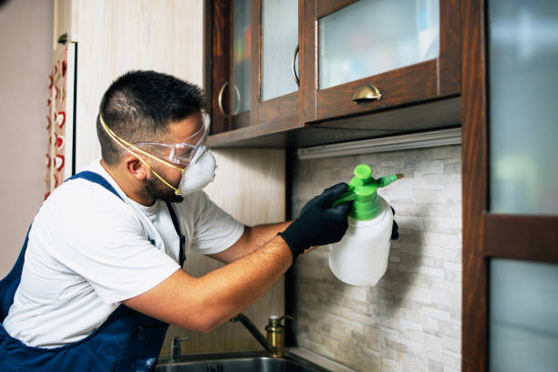 East Point, GA Pest Control Company