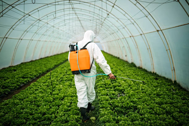 Best Pest Control Cost  in East Point, GA