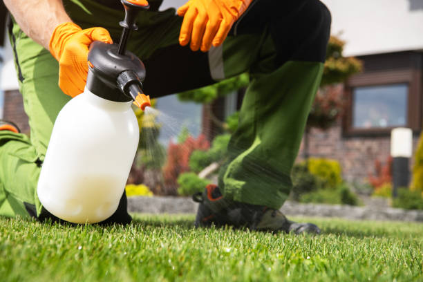 Reliable East Point, GA Pest Control Solutions