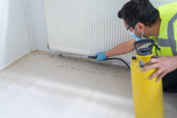 Best Pest Removal Services  in East Point, GA